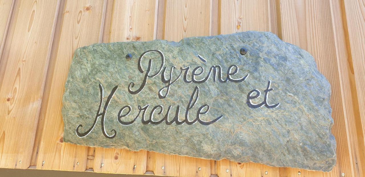 Pyrène et Hercule Arignac Extérieur photo